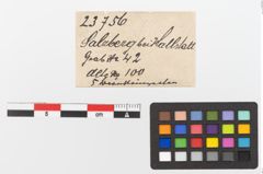 Etiketten zu Kette (NHMW-PRAE-023756)